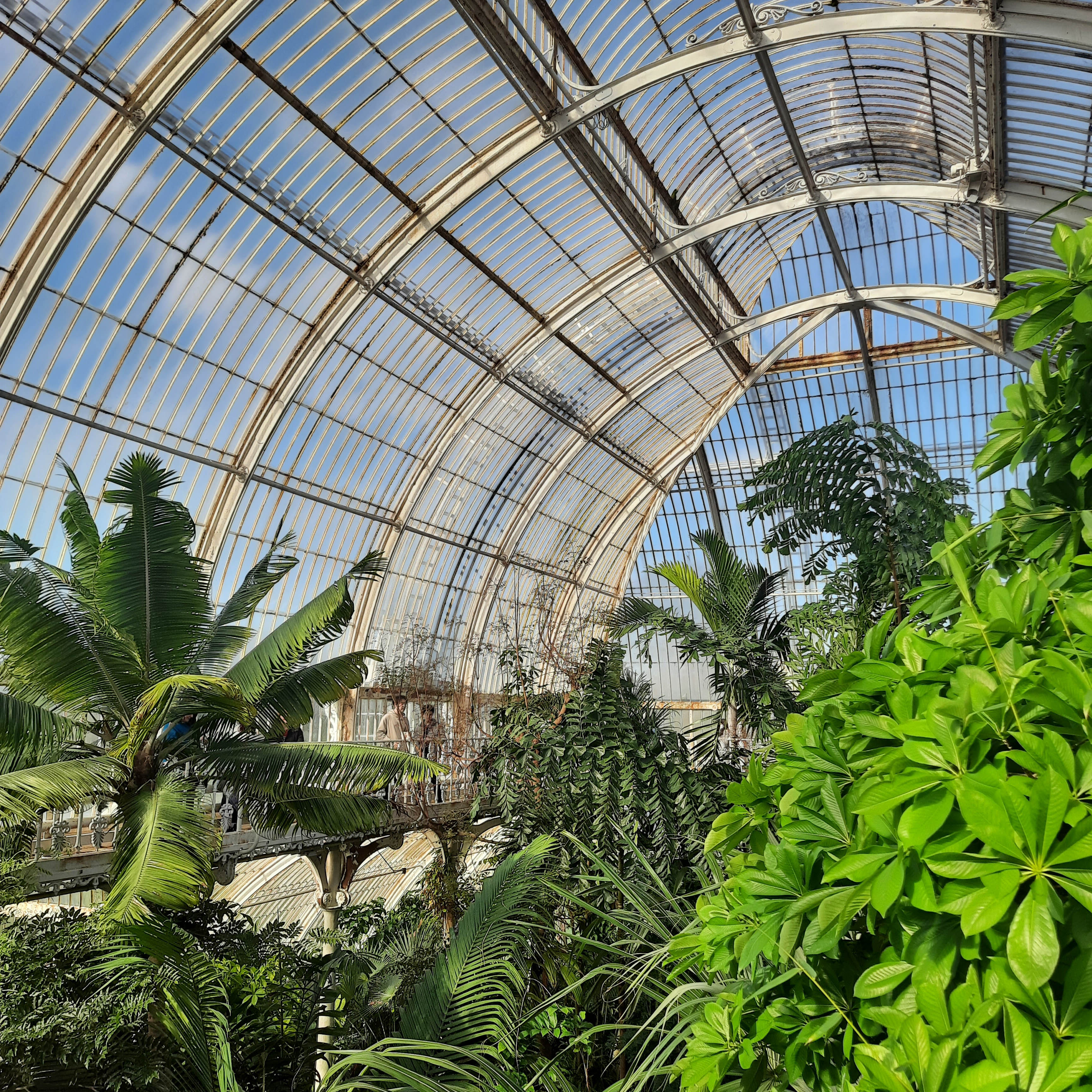 a close up of a greenhouse