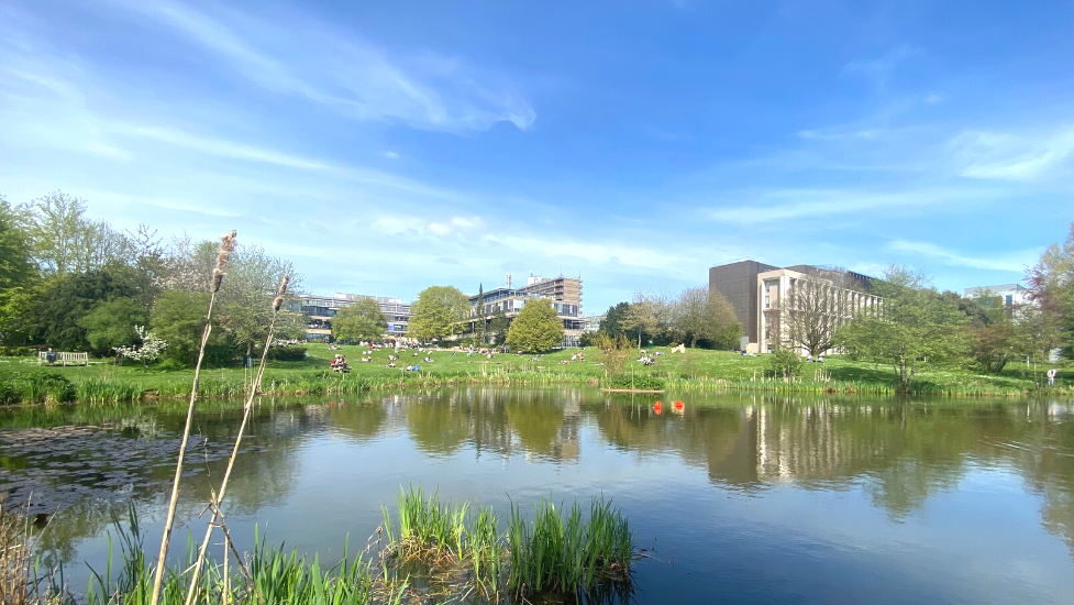 a small pond in front of a body of water