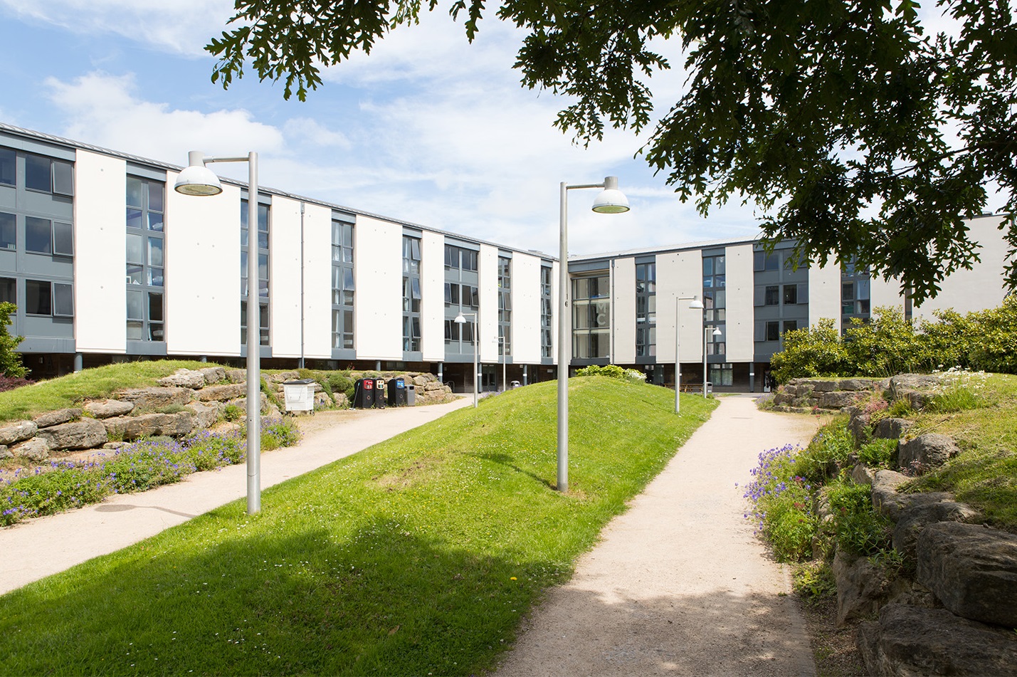 a path with trees on the side of a building
