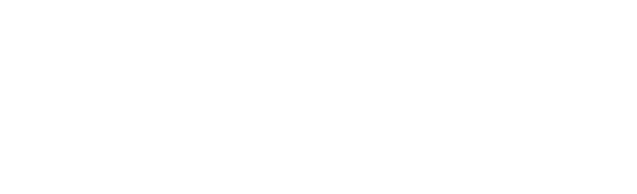 University of Southampton Logo