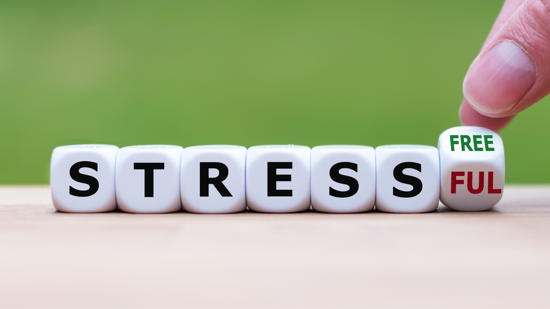 a close up of dice with letters on them